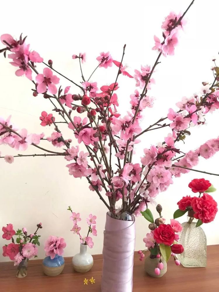 步骤:丝带围矿泉水瓶缠绕一圈,改造为花瓶;折下自家种的花,稍作修剪