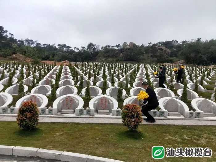 昨天, 濠江区远思墓园副总经理许文钱说,墓园就是挨个地放了一束束