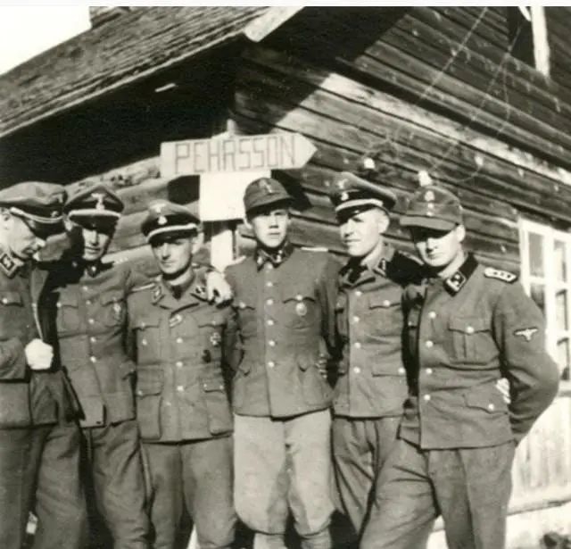 十二,二战时瑞典籍党卫军志愿者.