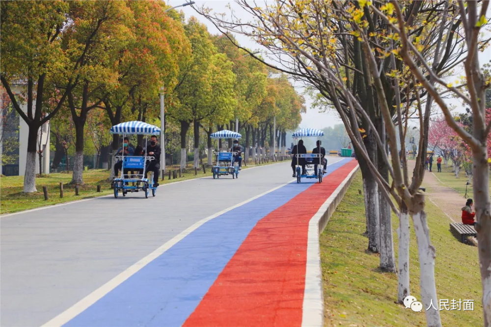 来到湿地公园便能看到 大家都在使用共享单车 沿着湖边一路骑行 享受