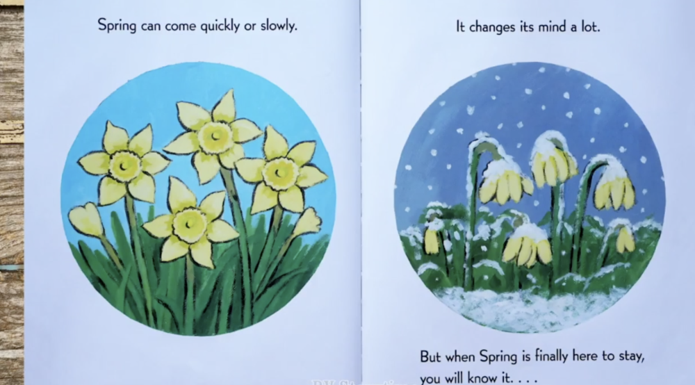 英语绘本故事-when spring comes