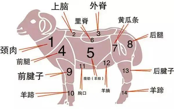 打开腾讯                     最全"羊肉"分解图 羊肉常见的烹饪方法
