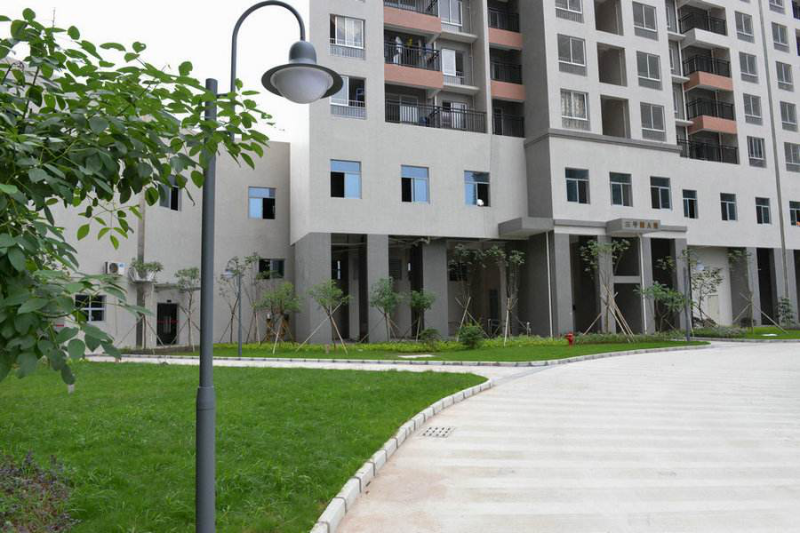 仲恺高新区2019年GDP