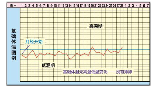 每个未准妈妈的月经周期不一定是28天,所以观察到的基础体温曲线图和