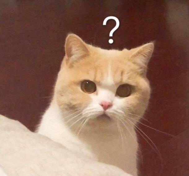 表情包:小朋友,你是否有很多问号?