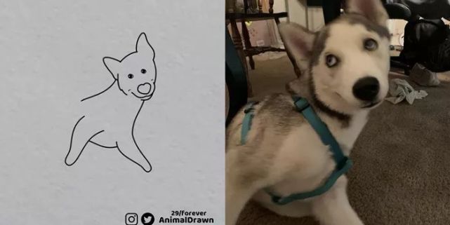 巧用ps,再手残也能画出超精美简笔画