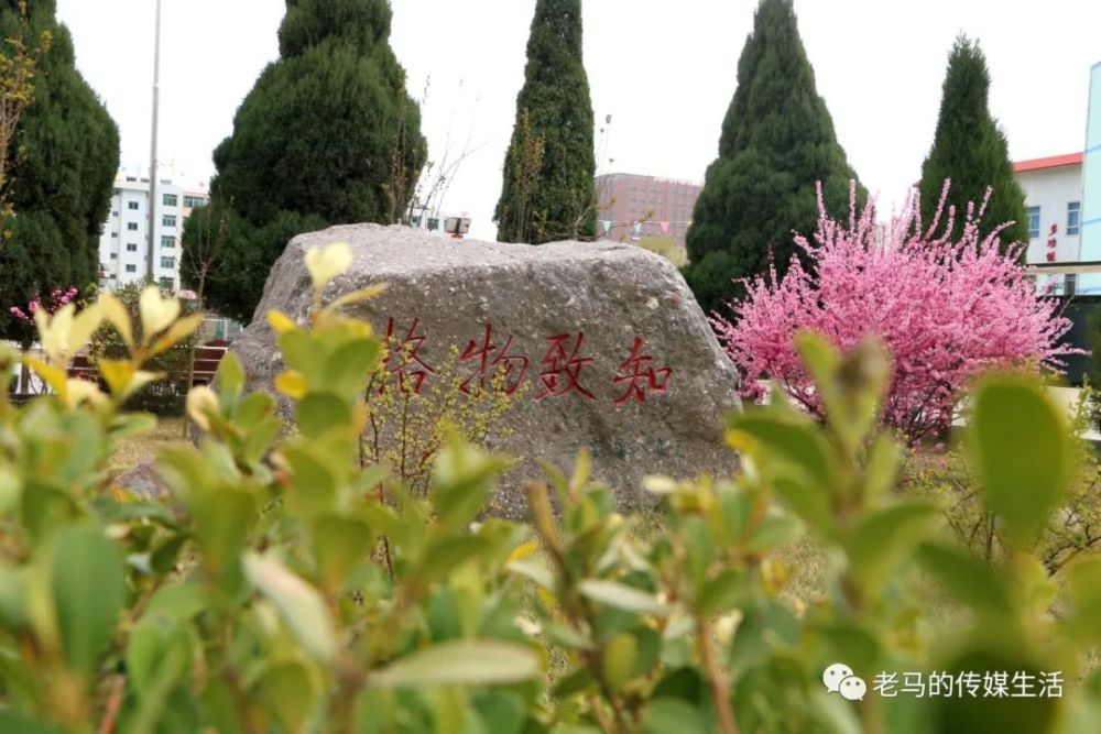 春光很美,看看青年教师曾贤文镜头下的芳华璀璨的靖远县乌兰小学联盟