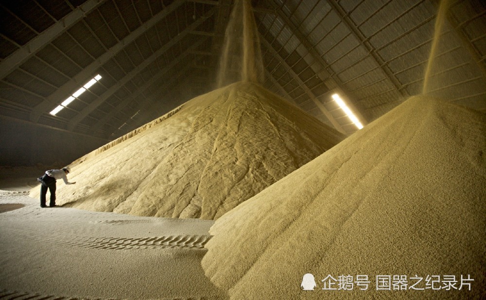 5亿吨,全国能够吃多久?国家粮食储备