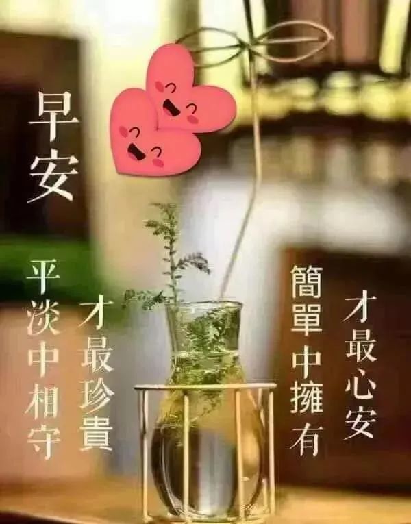 周二幸福甜美的早晨问候祝福动态表情图片 早安鲜花问候语动态图片