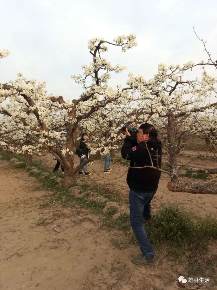 美景提前看雄关御道古淀梨湾掠影