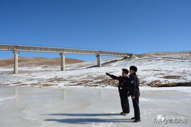 狼追着警车跑?还有你很多不知道的木里警事