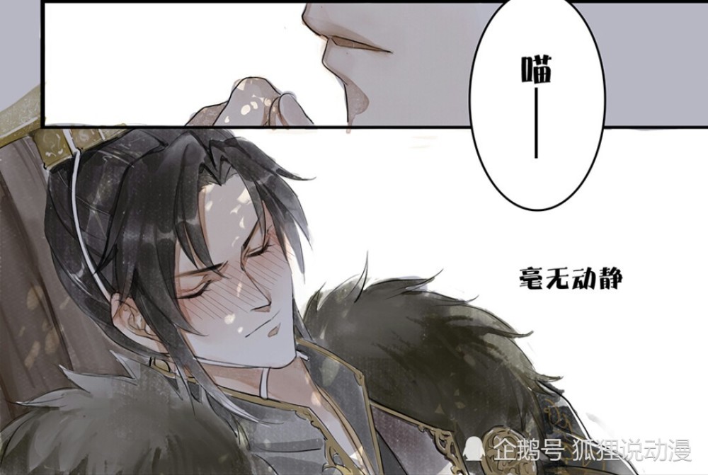 二哈和他的白猫师尊:六岁猫宁上线,踏仙君为何对墨宗师大打出手