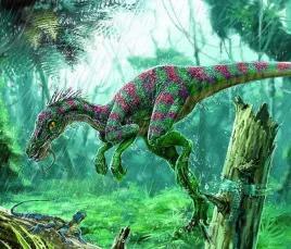 远古恐龙居然是鸟类始祖