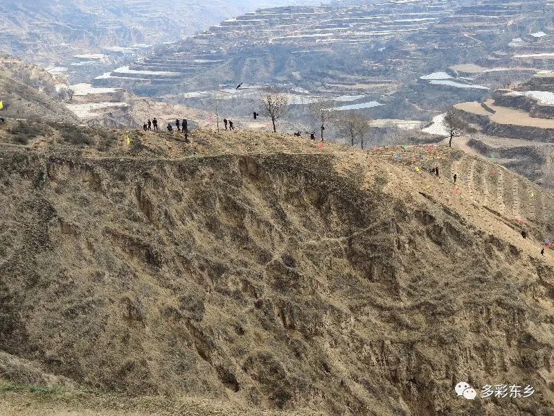 坪庄乡:开展春季荒山造林活动