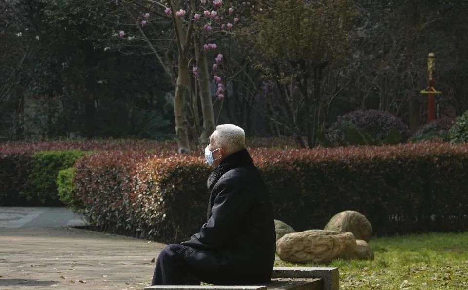 全民战疫影像行—武汉解封,终是春天!