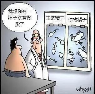想怀孕老怀不上,可能是因为精子"太丑了"!