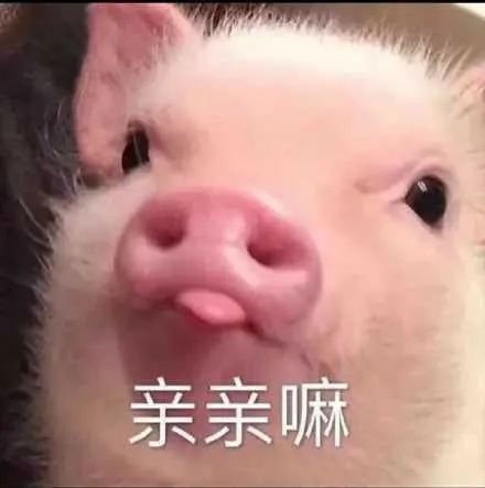 要亲亲表情包合集