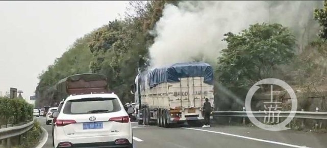 高速路上大货车自燃 过路民警徒手冲向火海大渝网腾讯网 8185