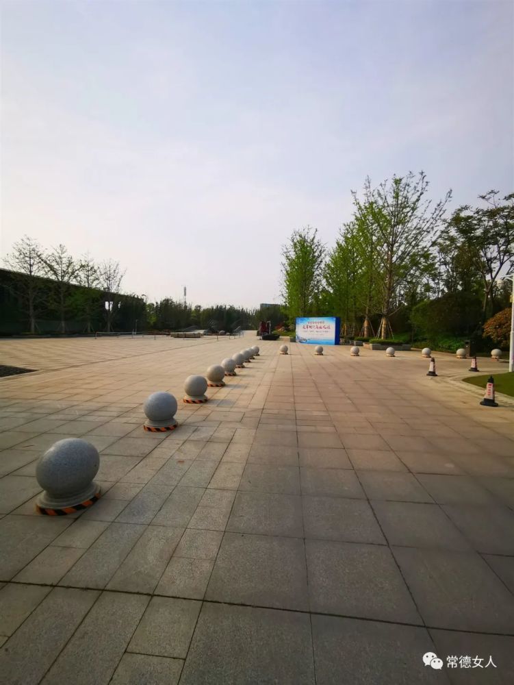 芙蓉公园春意盎然!常德最大城市中央公园美爆了