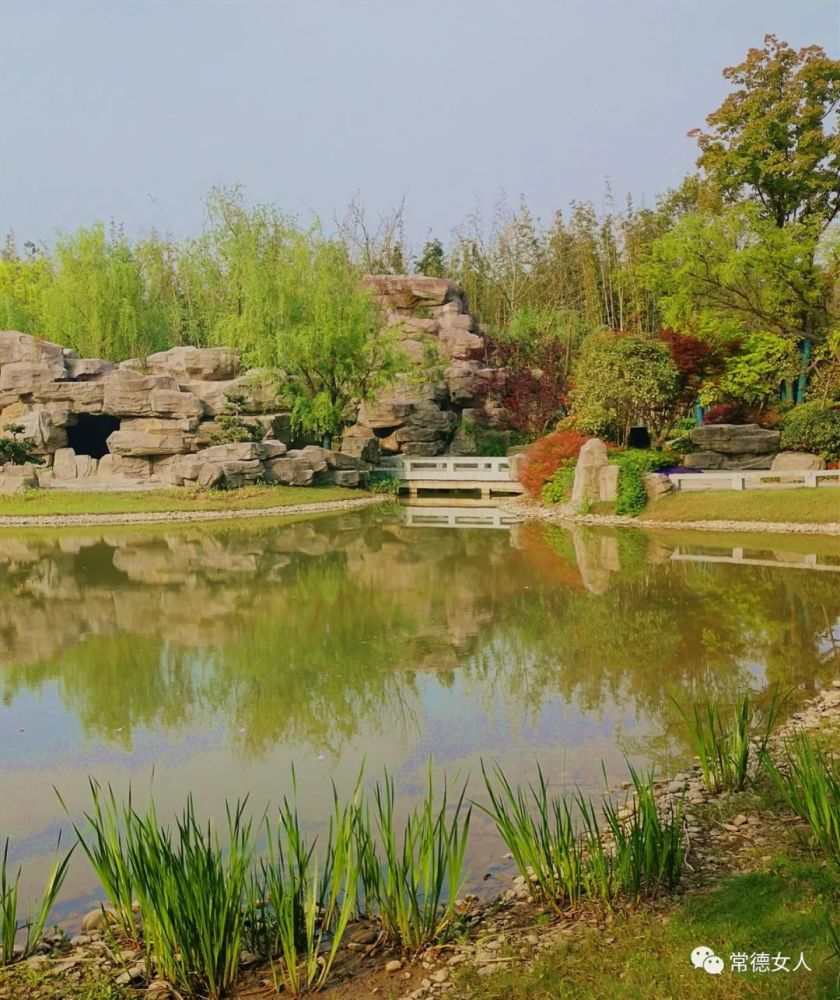 芙蓉公园春意盎然常德最大城市中央公园美爆了