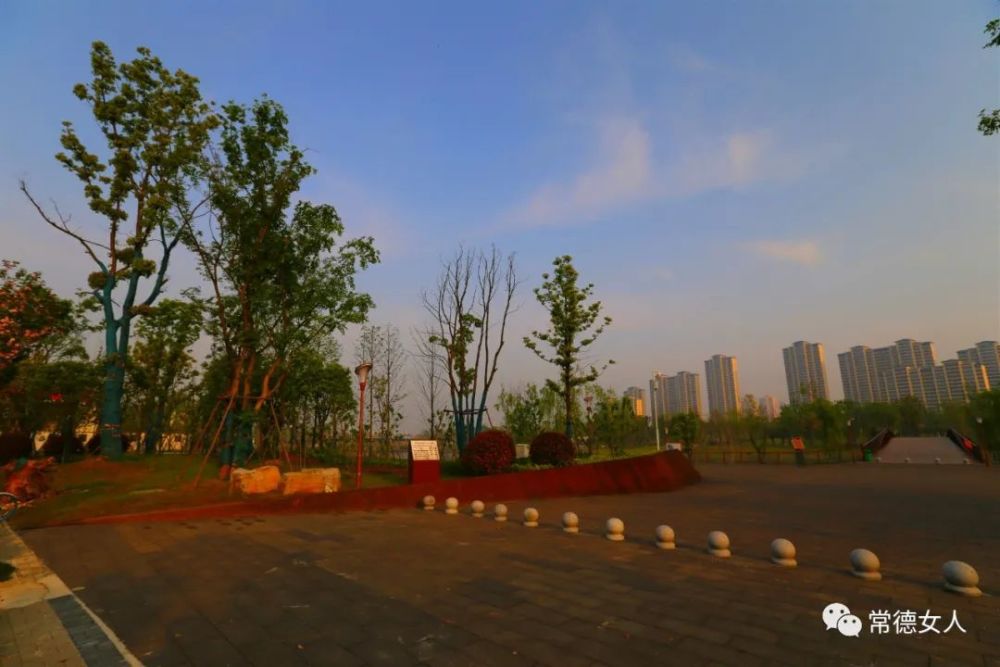 芙蓉公园春意盎然!常德最大城市中央公园美爆了