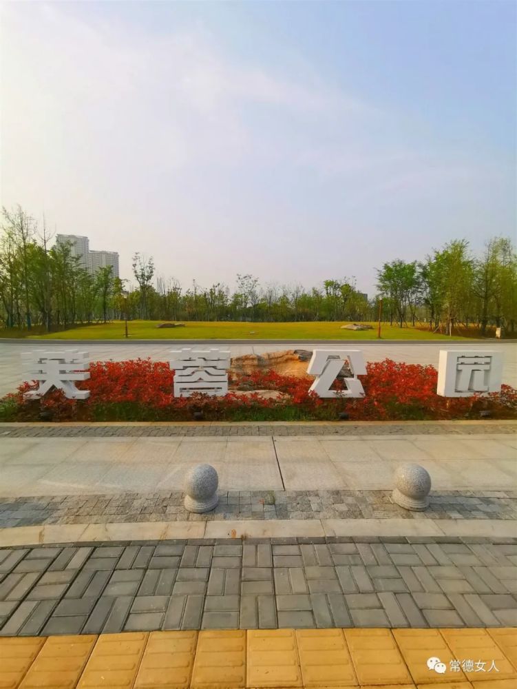 芙蓉公园春意盎然常德最大城市中央公园美爆了