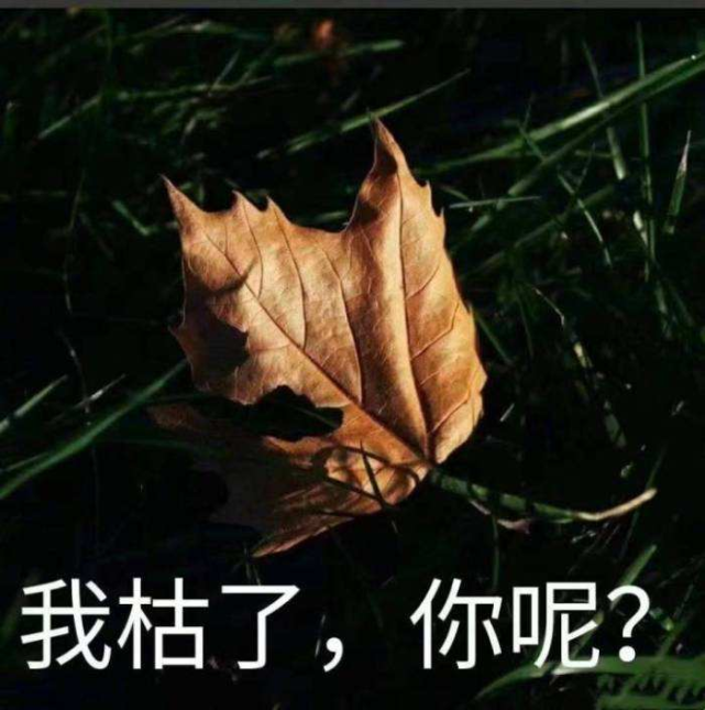 新冠时期的社恐:清心寡欲,万物皆可"云"