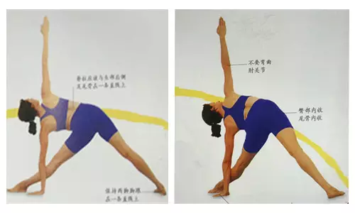艾扬格大师为你解答