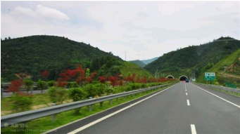 路线起于茶陵,顺接茶界高速公路,经茶陵县枣市,安仁牌楼市,华王乡