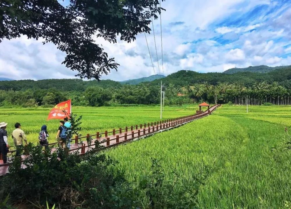 乐东友谊村田园风光