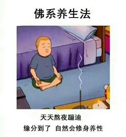 佛系养生法:天天熬夜蹦迪,缘分到了,自然会修身养性