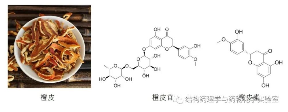 jeff gruneich博士表示,橙皮素是黄烷酮橙皮苷的主要代谢产物,在橙皮