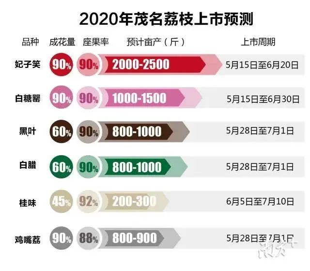 荔枝大年,总产量较去年多10~20,预估上市价格大幅降低?