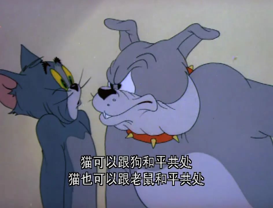 【猫和老鼠系列06】:没有永远的朋友,只有永远的利益