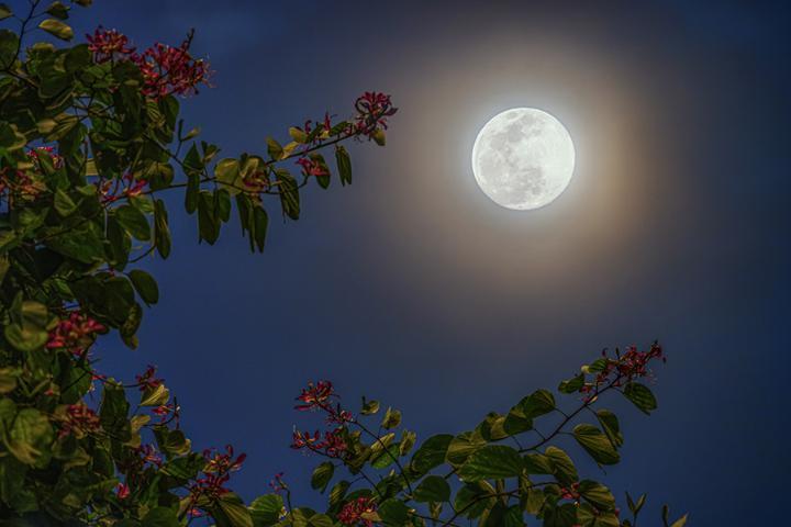 明月皎皎星汉西流 年度最佳的"超级月亮"今晚上线