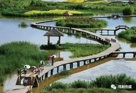 太原城区段的湿地公园——汾河公园