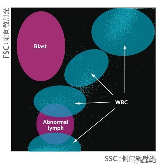 wpc通道散点图