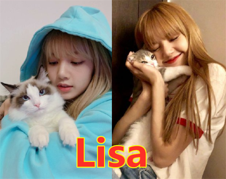 lisa的猫,李佳琦的狗,王源的鸡,都抵不过"程潇"的它!