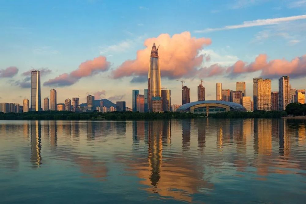深圳精英人口_深圳人口(2)