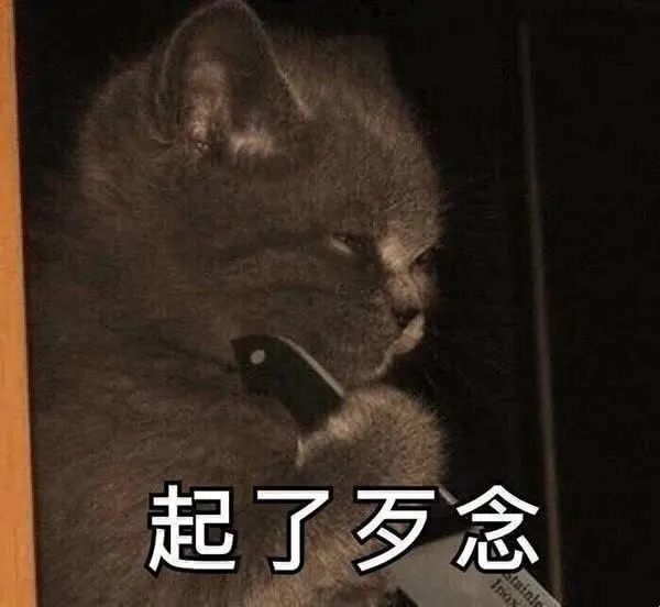 斗图表情包合集|让我瞧瞧你在干嘛?
