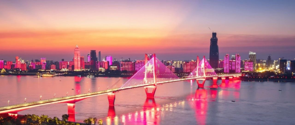 武汉市新洲区2020年GDP_新洲有多美,只有去过的人才知道(2)