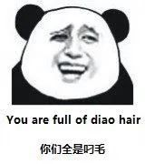 你们全是叼毛 you are full of diao hair