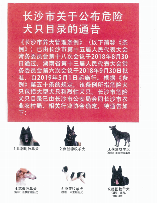 宁乡抢先报:宁乡这些养狗的被罚款;宁乡迎来了一批远道而来的客人!