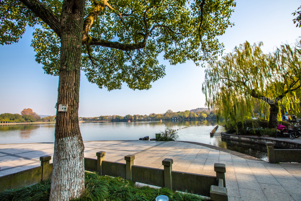 2019年国内334城市gdp_2020年gdp二十强城市(2)