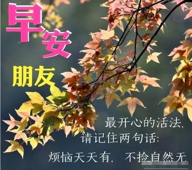 朋友圈超暖心的早安问候语温馨句子,早上好祝福语表情