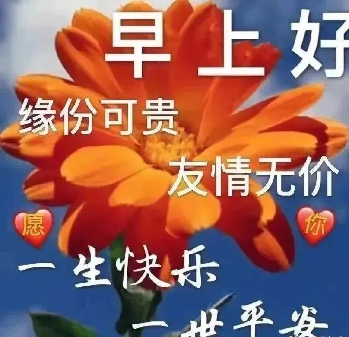 朋友圈超暖心的早安问候语温馨句子早上好祝福语表情图片