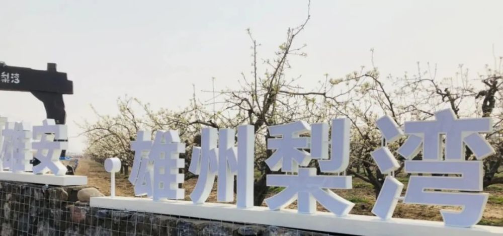 地点名称: 雄关御道·古淀梨湾游园 导航搜索: 雄县常庄村 费用情况