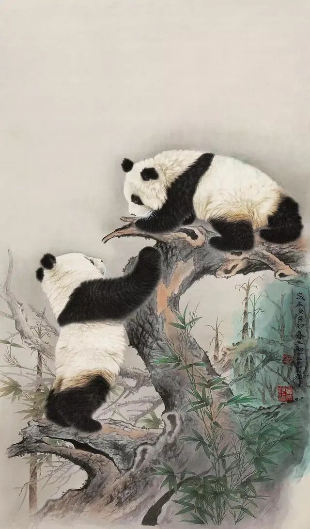 第一次看这么逼真写实的工笔画熊猫,太赞了
