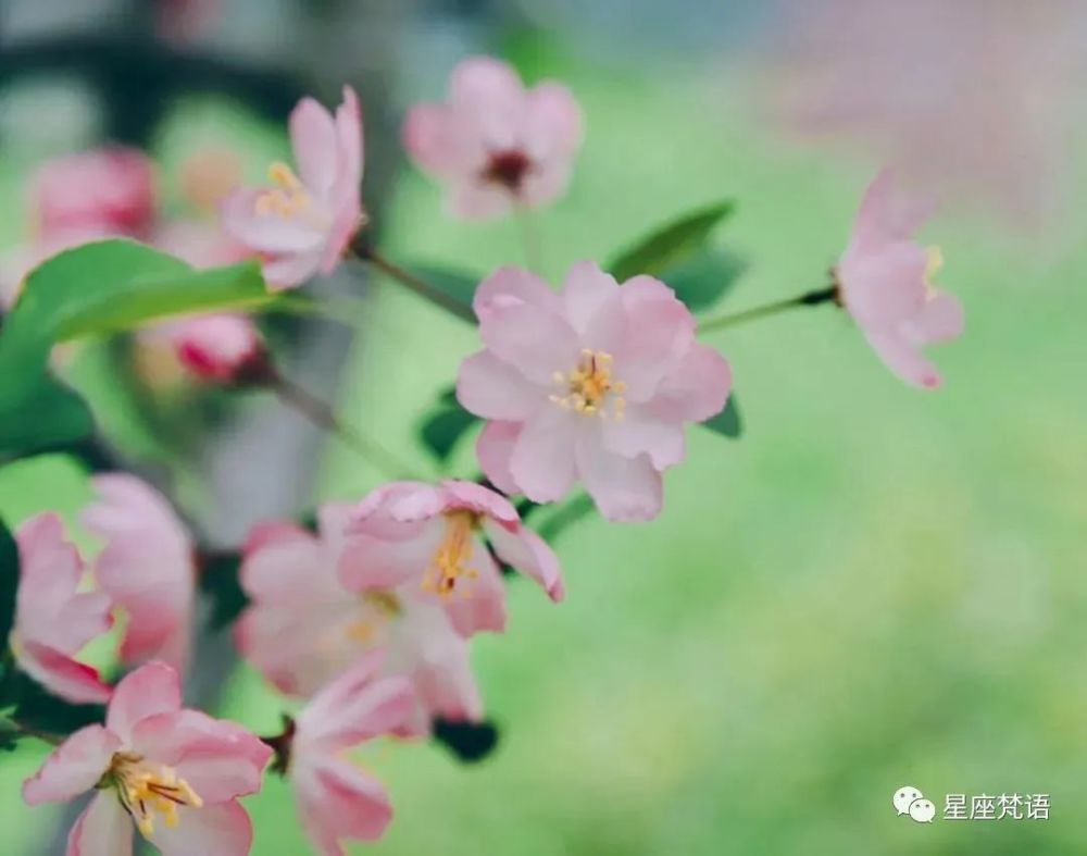 明天起 喜从天降 桃花结缘 4月大运 5月大财 6月大富大贵躲不掉