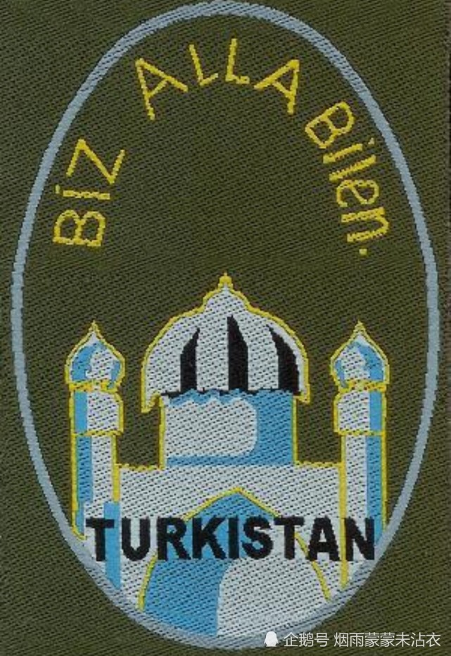 162步兵师早期臂章,有清真寺图案和"土耳其斯坦"字样,上面圆弧形文字